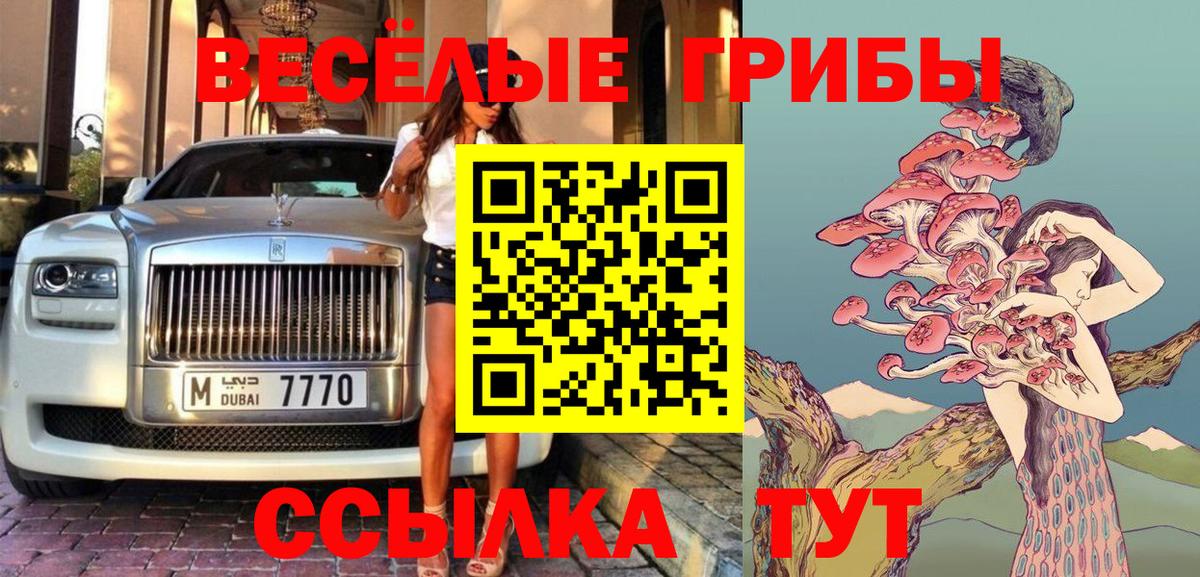 Галлюциногенные грибы Cubensis Ярославль