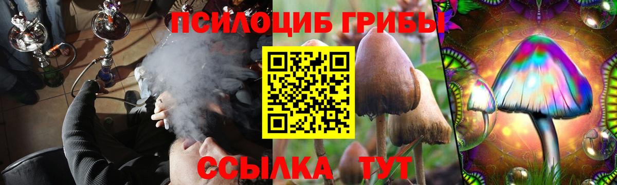 Ярославль  Псилоцибиновые грибы мухоморы  наркошоп  Галлюциногенные грибы мицелий  Вход с VPN 